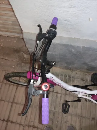 Bicicleta Infantil Fashion Girl