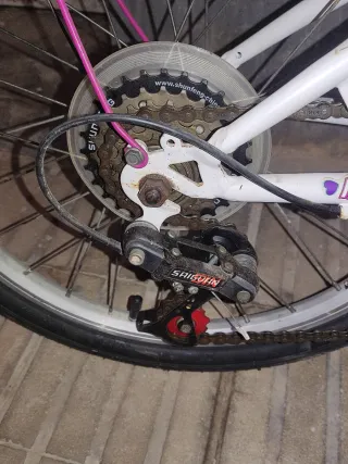 Bicicleta Infantil Fashion Girl