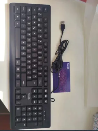 Teclado Trust Negro USB