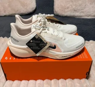 Nike Pegasus 41 Goretex