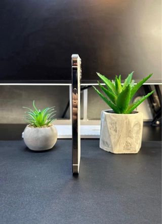 iPhone 13 Pro Max 256GB Blanco/Plata