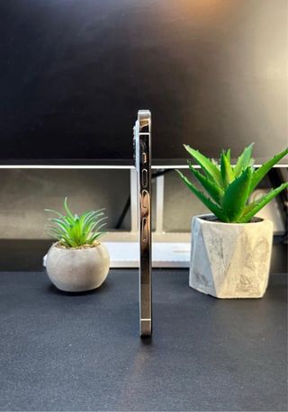 iPhone 13 Pro Max 256GB Blanco/Plata