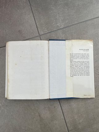 La busqueda del dragon