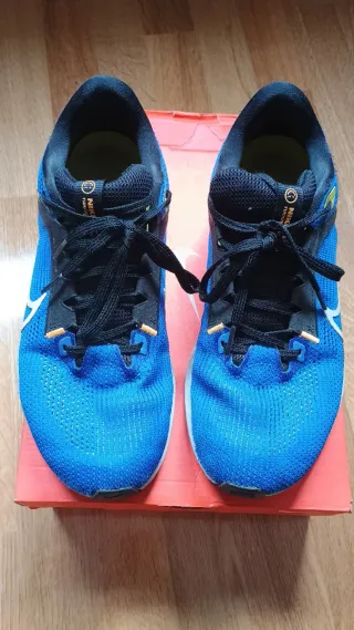 Nike Pegasus 40