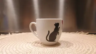 Tazzina con gatti e cuore in vinile