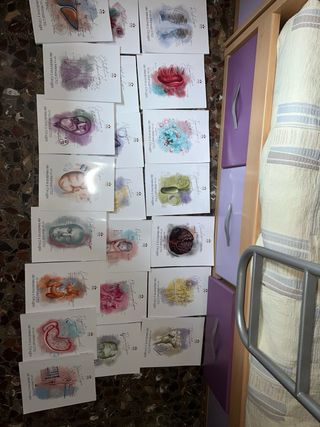 Manuales CTO de medicina y cirugía Medicina / MIR