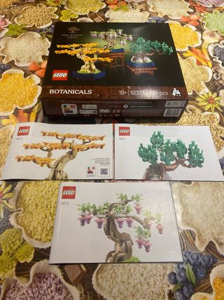 Istruzioni e scatola set lego botanicals 10373