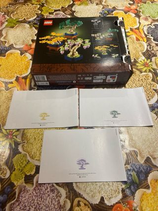 Istruzioni e scatola set lego botanicals 10373