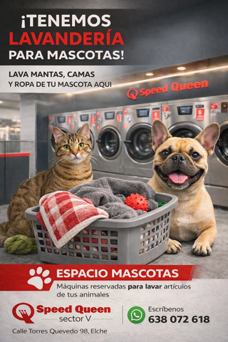 Lavandería a domicilio