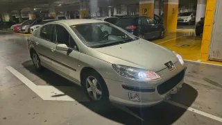 Peugeot 407
