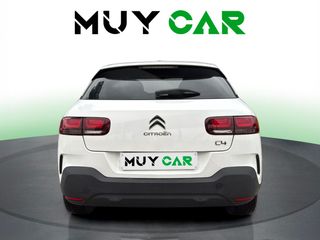 Citroen C4 Cactus PureTech 110 S&S Shine 81 kW (110 CV)