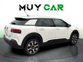 Citroen C4 Cactus PureTech 110 S&S Shine 81 kW (110 CV)