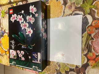 Istruzioni e scatola set lego botanicals 10311