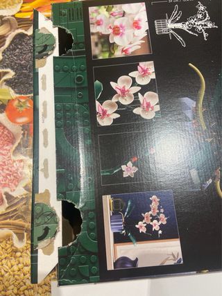 Istruzioni e scatola set lego botanicals 10311