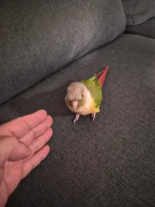 Mando Xbox 360 Original blanco y negro