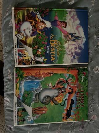 Lote di riviste e libri Disney