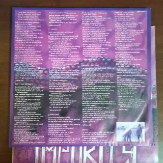 LP 1990 ROCK New Model Army - Impurity Vinilo