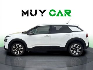 Citroen C4 Cactus PureTech 110 S&S Shine 81 kW (110 CV)