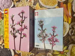 Istruzioni e scatola set lego 40725