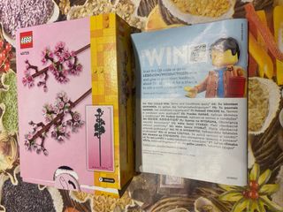 Istruzioni e scatola set lego 40725