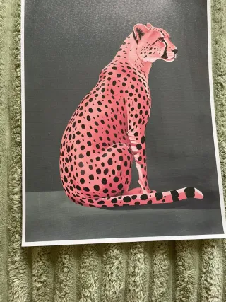 Stampe su tela varie numero 6 pezzi.