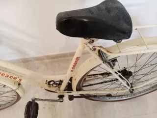 Bicicleta clásica vintage