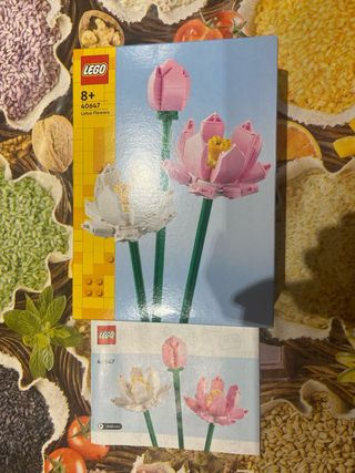 Istruzioni e scatola set lego 40647