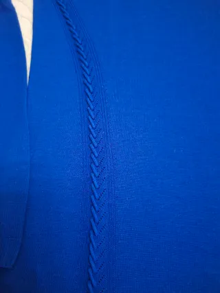 Jersey Roberto Cavalli Azul