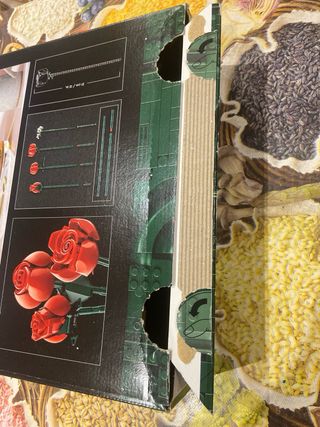 Istruzioni e scatola set lego icons 10329