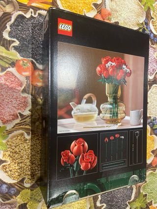 Istruzioni e scatola set lego icons 10329