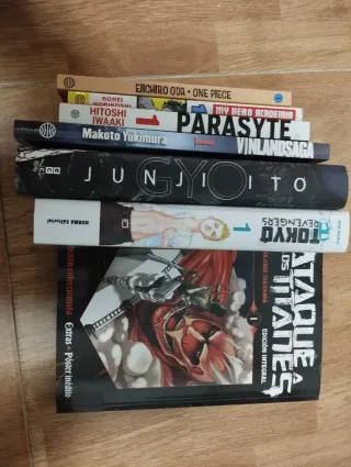 Lote manga