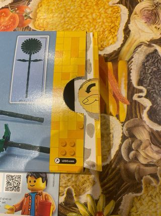 Istruzioni e scatola set lego 40524