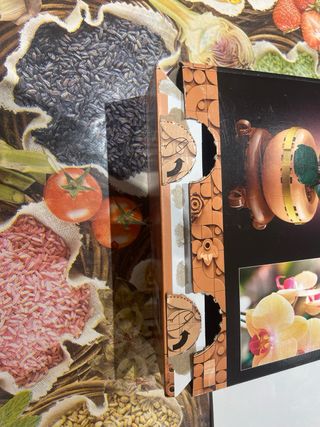 Istruzioni e scatola set lego botanicals 10343