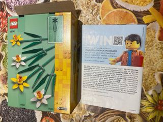 Istruzioni e scatola set lego 40747