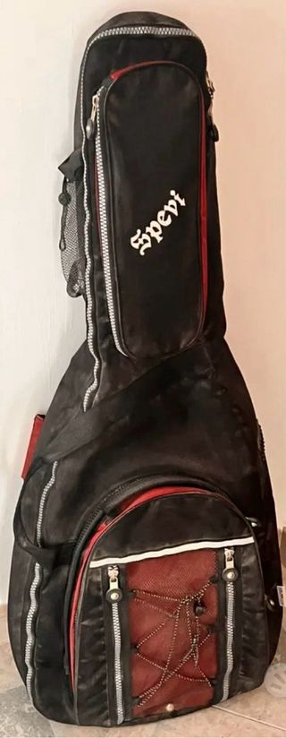 Chitarra acustica Ibanez con custodia