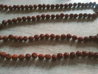 Collar Rudraksha, 65 cm, de India