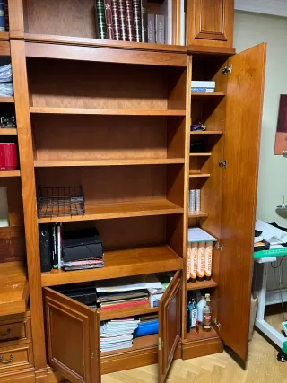 Librería Boiserie de Madera