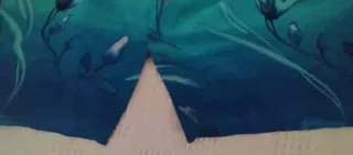 Blusa gasa floral azul y celeste