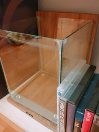 Pecera Zolux con soporte y filtro