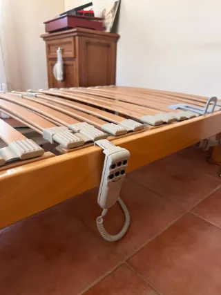 2 Camas Articuladas con Mando