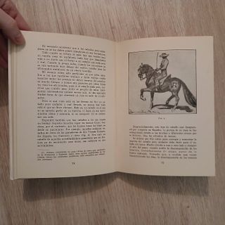 DOMA, OBEDIENCIA Y SUMISIÓN firmado por el autor