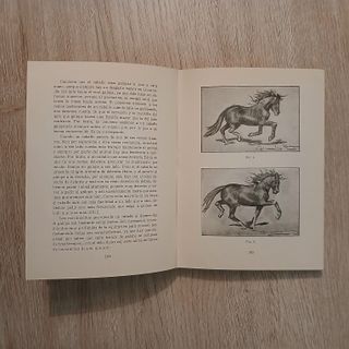 DOMA, OBEDIENCIA Y SUMISIÓN firmado por el autor