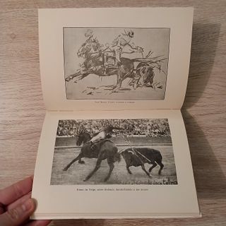 DOMA, OBEDIENCIA Y SUMISIÓN firmado por el autor