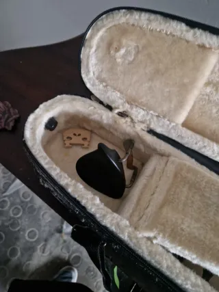 Violín para niño con funda