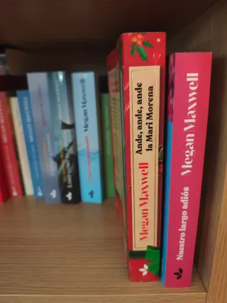 Colección casi completa de Megan Maxwell