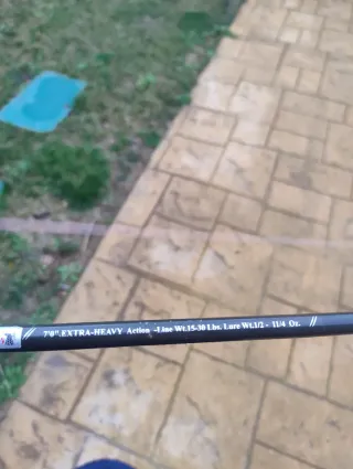 Caña Spinning Hart Expression SXHA 700 con carrete