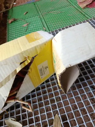 Cortinas de madera Catral