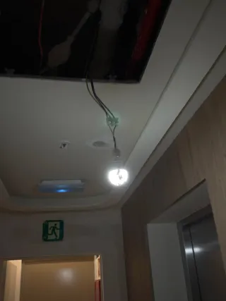 Pladurista agua plástico pintura juntas