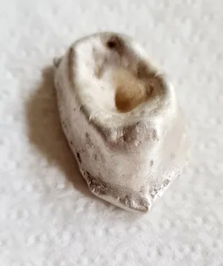 Pepita de Plata de Ley 41.3g