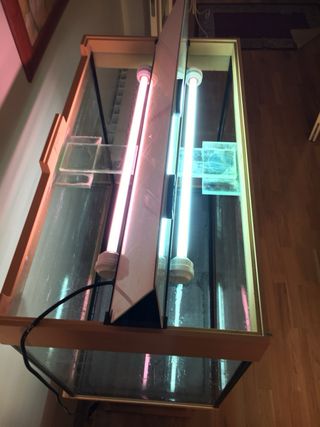 Acuario 155L con mesa reforzada